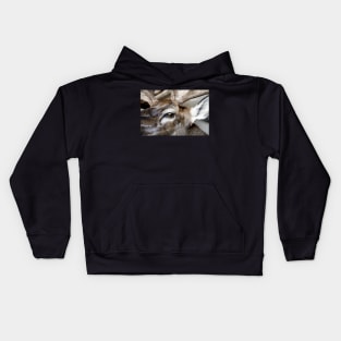 Caribou Head Kids Hoodie